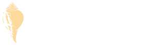 Arsha Vidya Logo