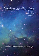 Vision of the Gita