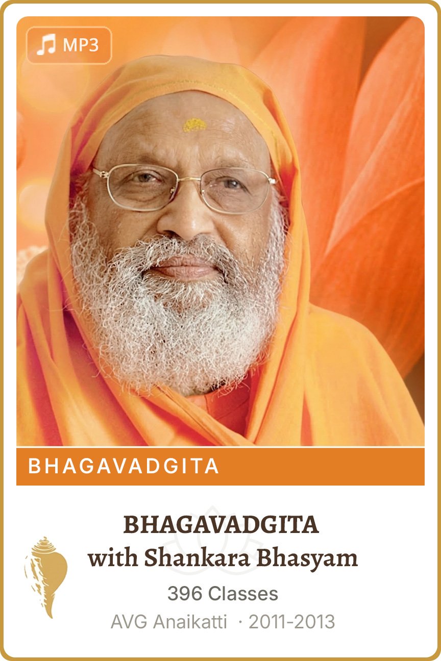 Bhagavad Gita Bhasyam 2011-13